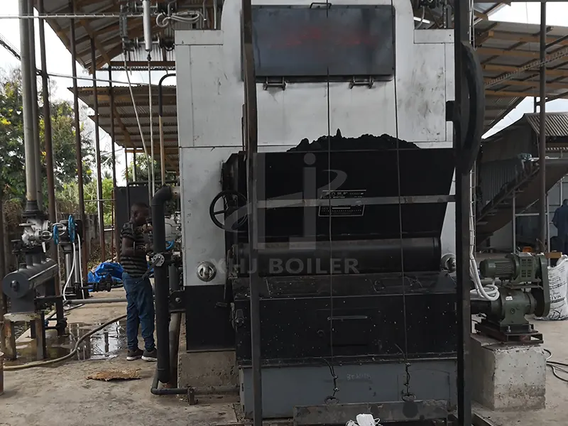 5 Ton Wood Fired Steam Boiler for Sale