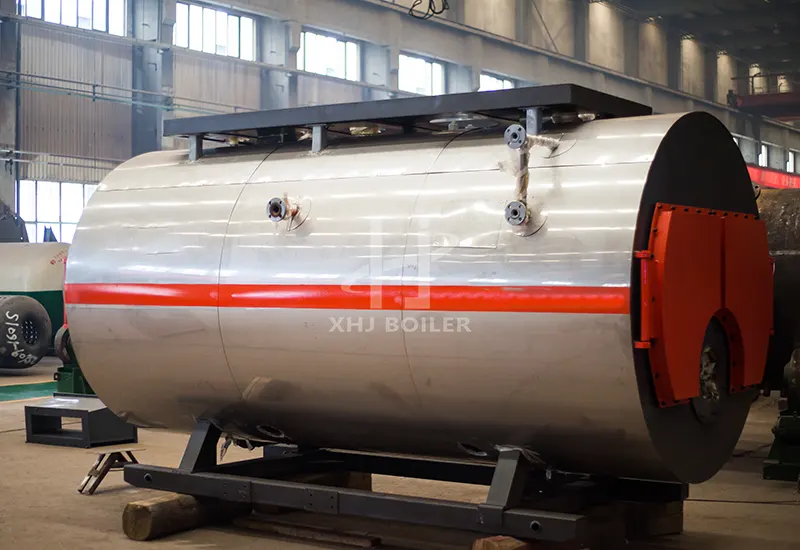 South African Chemical Diesel Fuel Boiler WNS2-1.25-YQ Project