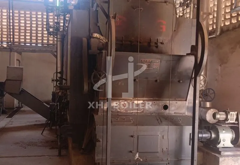 Uganda Pharmaceutical Biomass Boiler DZL6-1.25-T Project