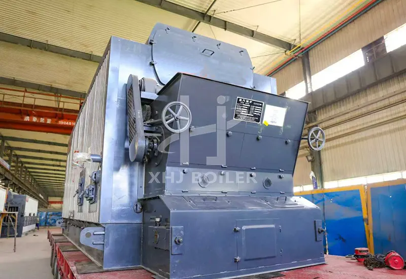 Uganda Pharmaceutical Biomass Boiler DZL6-1.25-T Project
