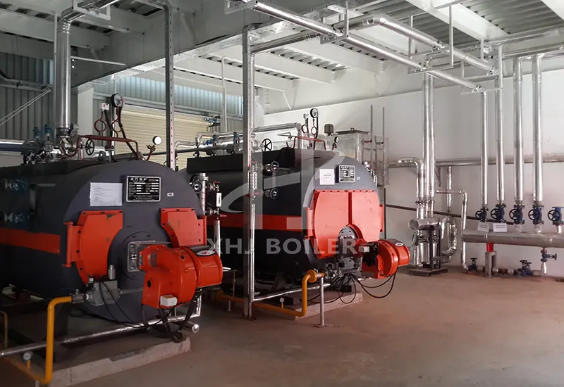 Bangladesh Textile Natural Gas Boiler WNS2-1.0-YQ Project