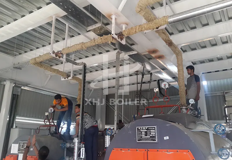 Bangladesh Textile Natural Gas Boiler WNS2-1.0-YQ Project