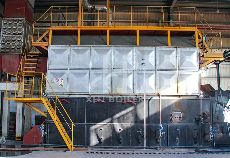 Vietnam Food Factory Coal-fired Boiler DZL10-1.25-AII Project