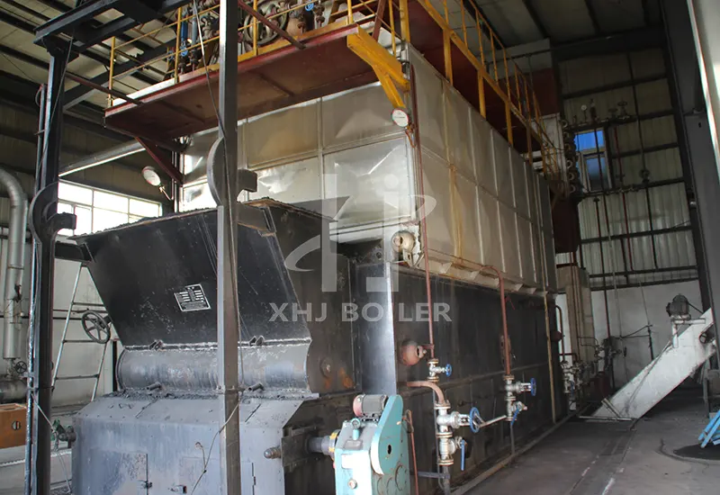 Vietnam Food Factory Coal-fired Boiler DZL10-1.25-AII Project