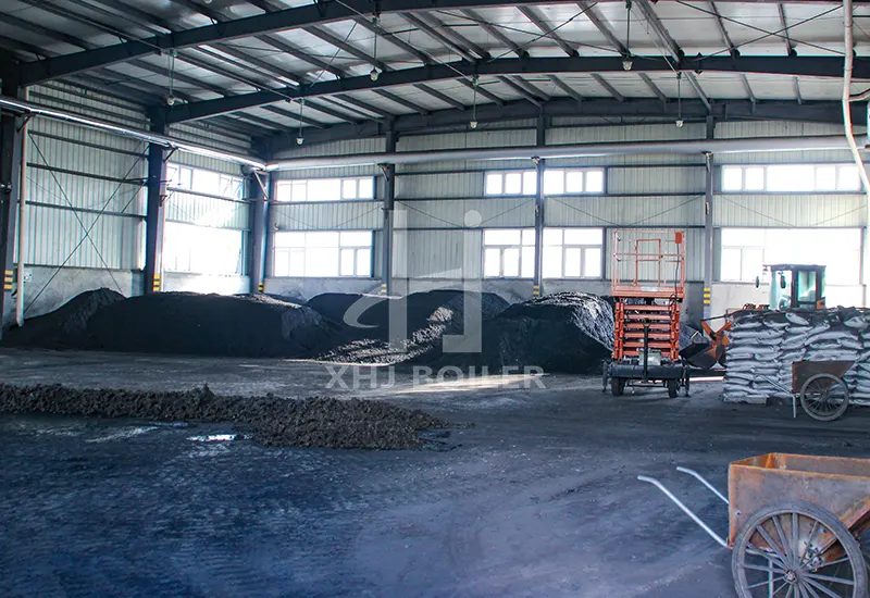 Vietnam Food Factory Coal-fired Boiler DZL10-1.25-AII Project