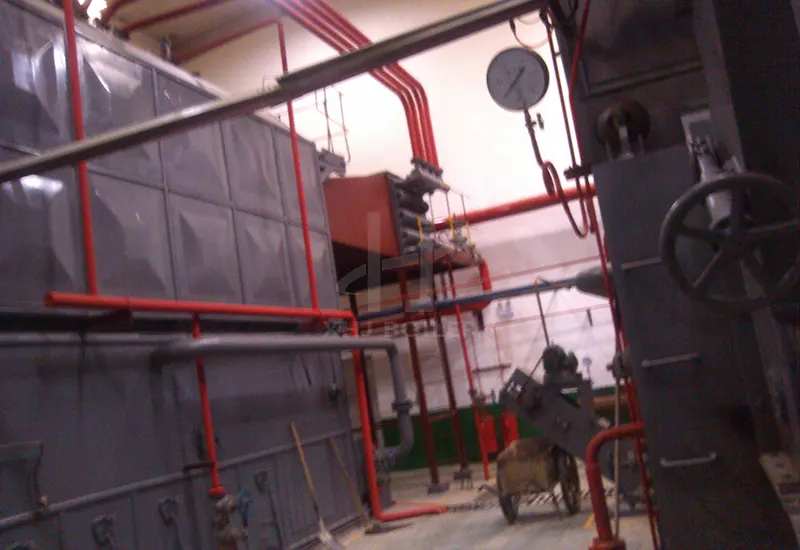 Tanzania Rice Mill Biomass Boiler DZL4-1.25-T Project