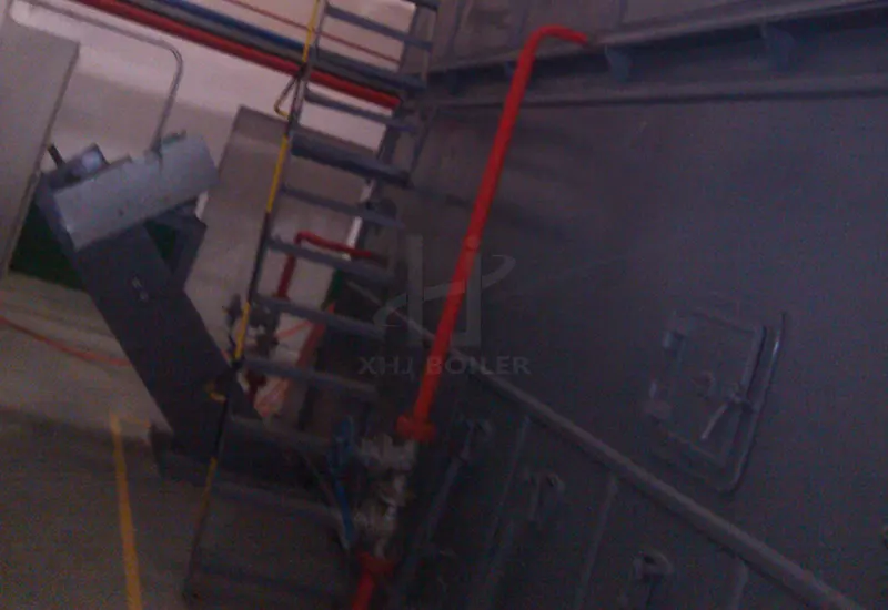Tanzania Rice Mill Biomass Boiler DZL4-1.25-T Project