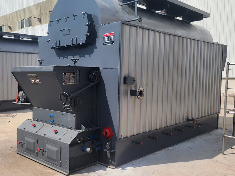 DZL Type Chain Grate Biomass Coal Steam Boiler For Sale