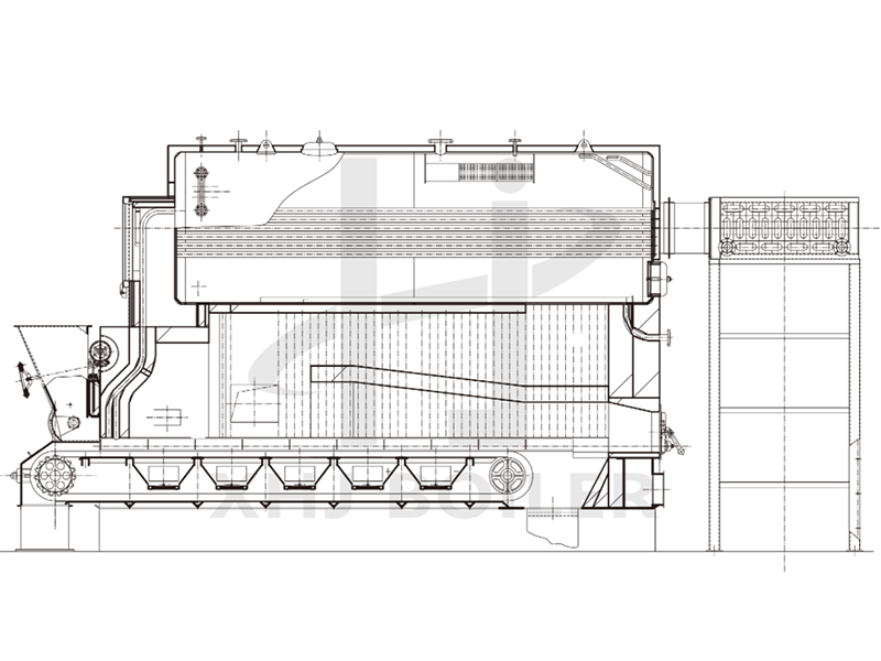 DZL Type Chain Grate Biomass Coal Steam Boiler For Sale