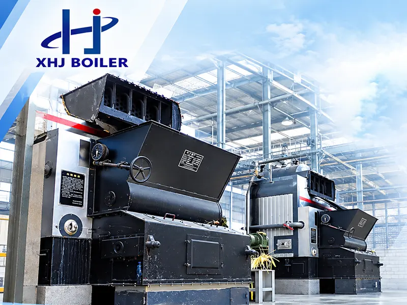 Indonesia DZL Series Biomass Steam Boiler