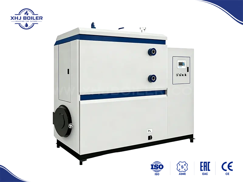 China Biomass Fired Steam Generator Manufacturer
