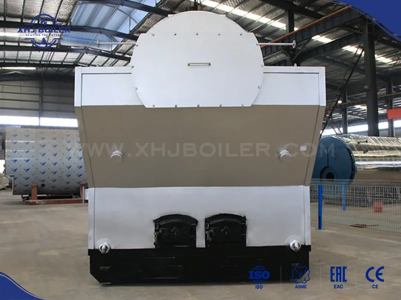China DZH Manual Feeding Biomass Boiler Supplier