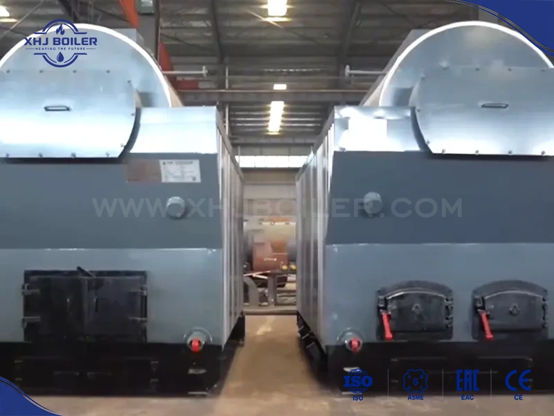 China DZH Manual Feeding Biomass Boiler Supplier