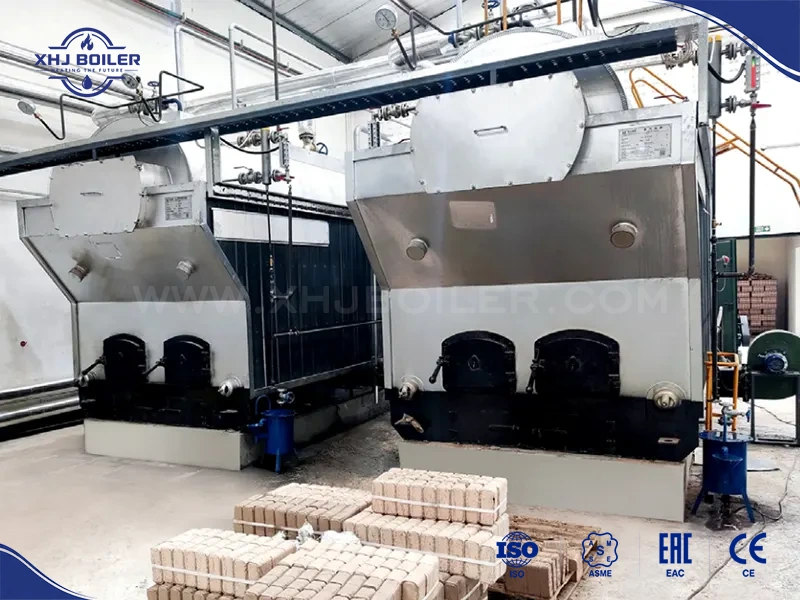China DZH Manual Feeding Biomass Boiler Supplier