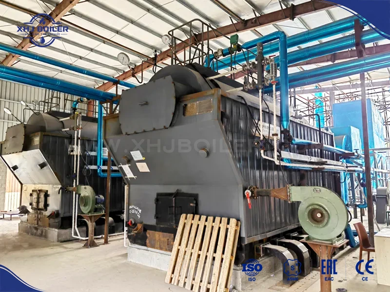 China DZH Manual Feeding Biomass Boiler Supplier
