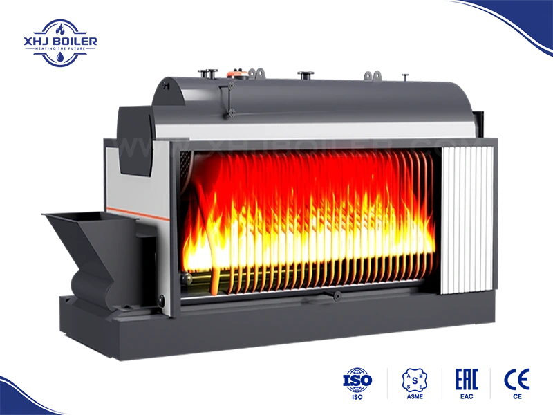 DZL Chain Grate Biomass Boiler