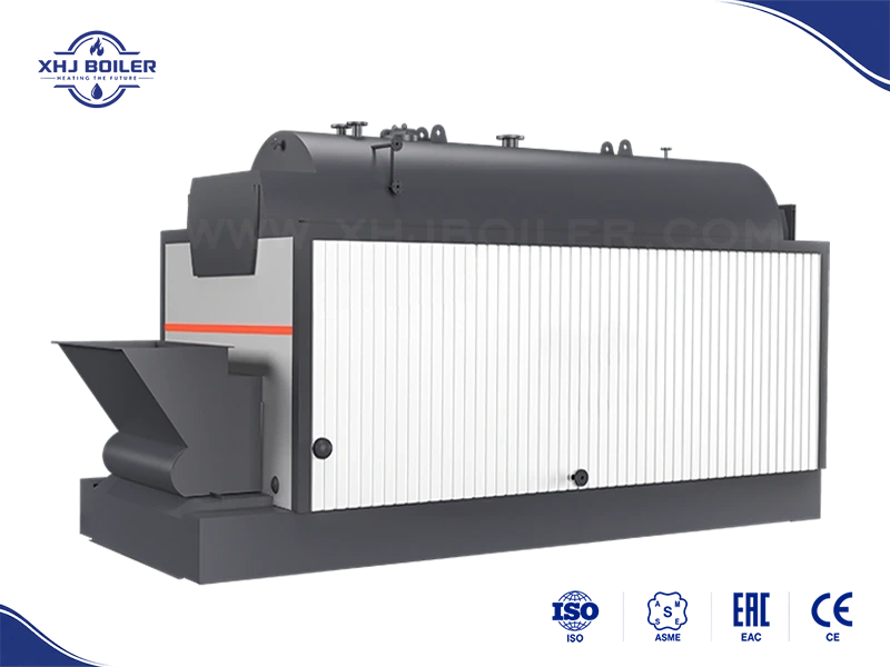 DZL Chain Grate Coal Boiler