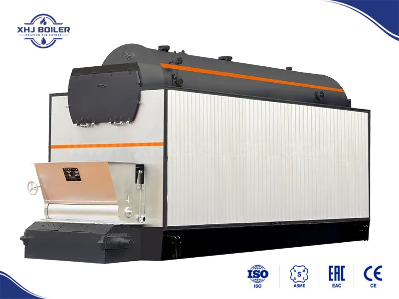 China DZL Chain Grate Biomass Wood Boiler Supplier