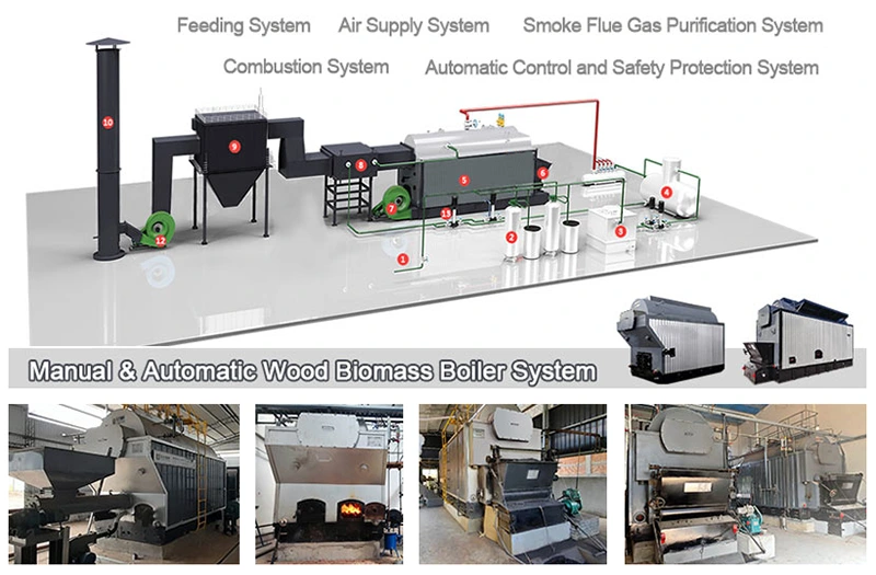 DZH Manual Feeding Biomass Boiler System