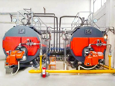 Gas Oil Fired Steam Boiler