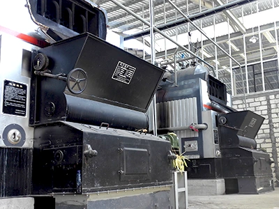 Chain Grate Biomass Steam Boiler