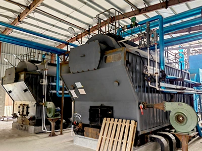 Manual Feeding Biomass Steam Boiler